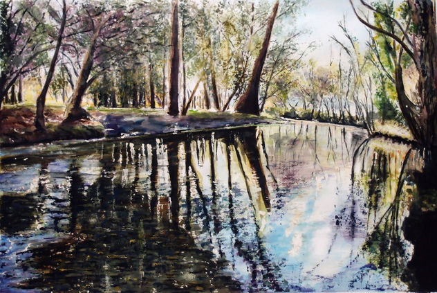 remanso en el rio