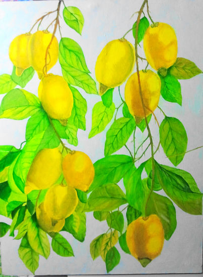 MIS LIMONES Oil Canvas Floral Painting