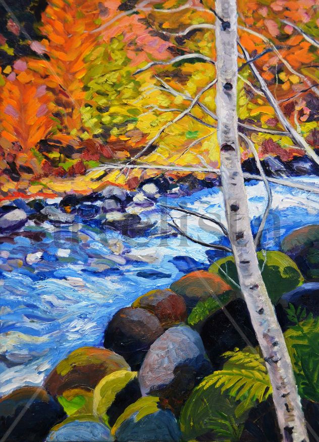 Tamayo - Serie Valle de Arán 01
