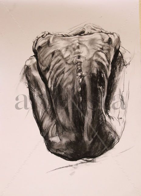 "Anatomia"