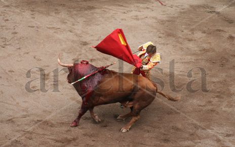 El Juli y el toro