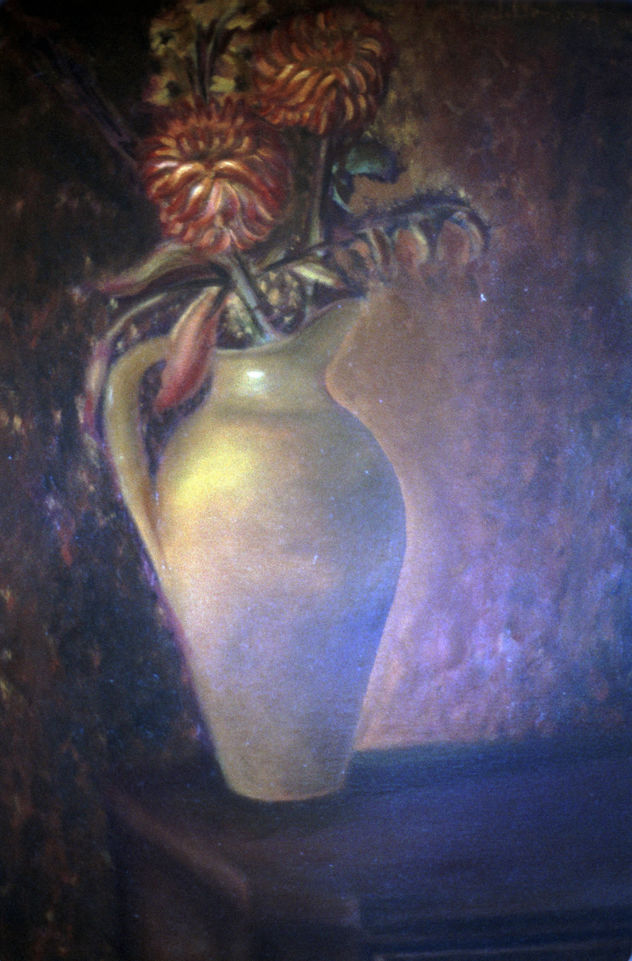 naturalezas muertas 1981