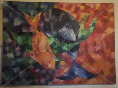 Peces