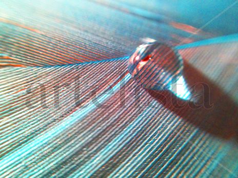 La gota en la pluma