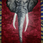animales africa thumbnail 1