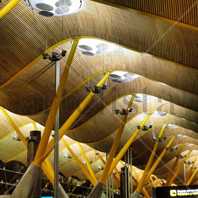 Líneas del T4