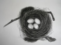 Nest with Eggs...