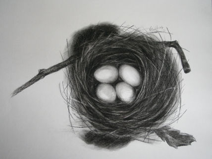 Nest with Eggs...
