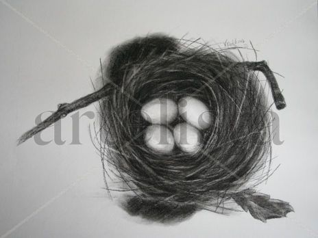 Nest with Eggs...