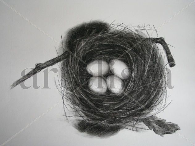 Nest with Eggs Charcoal drawing