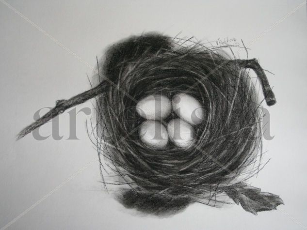 Nest with Eggs Charcoal drawing Charcoal