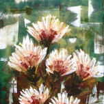 Flores thumbnail 1