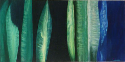 Verdes