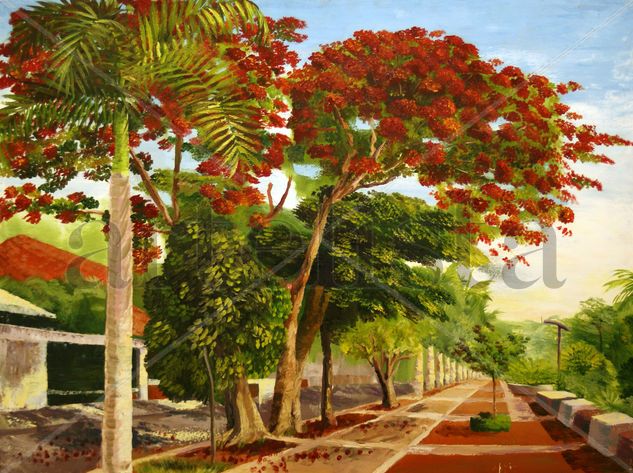 Flamboyan Óleo Lienzo Paisaje