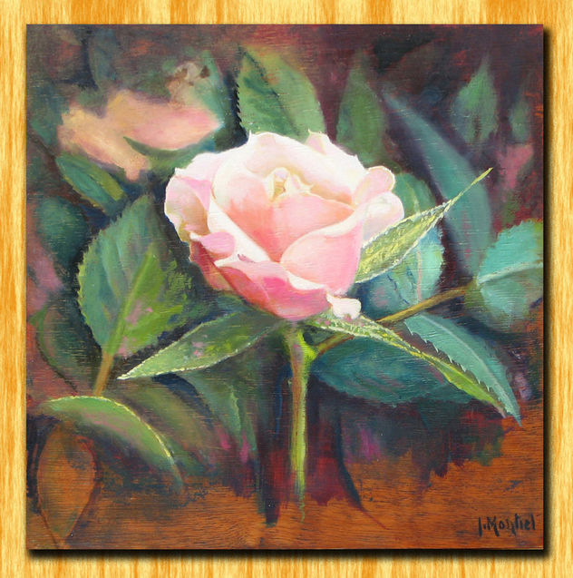 Rosa