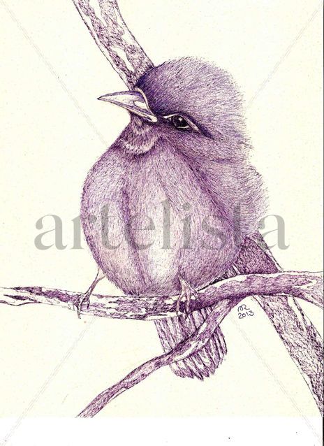 Pajarito
