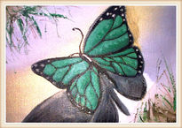 Green Butterfly