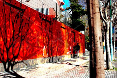 Muro