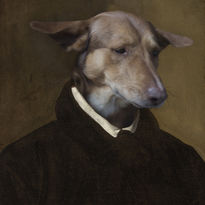 Podenco de Góngora