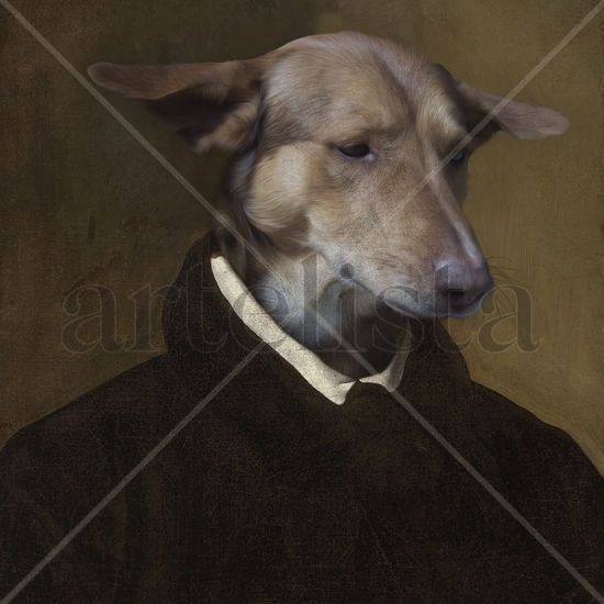 Podenco de Góngora 