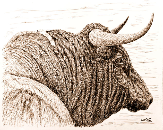 toro de lidia Tinta