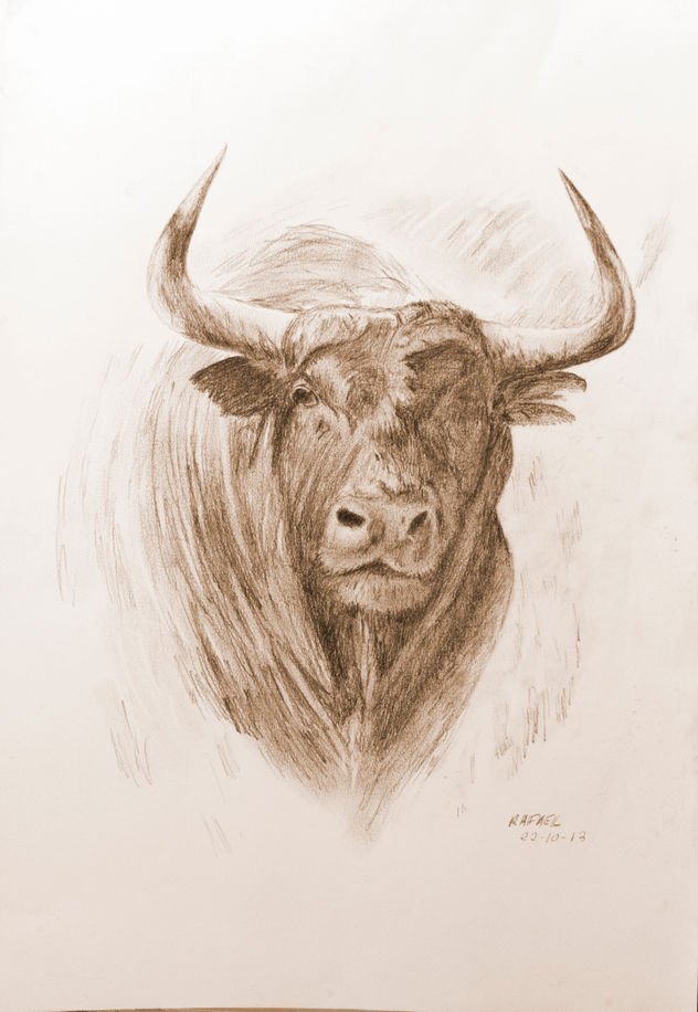 toro de lidia