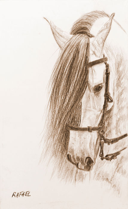 Cabeza de caballos...