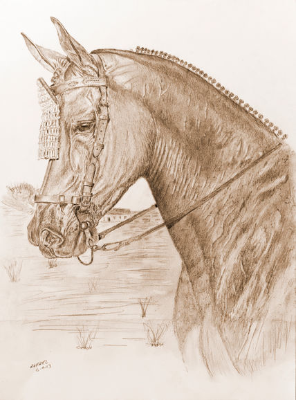 Caballo vaquero