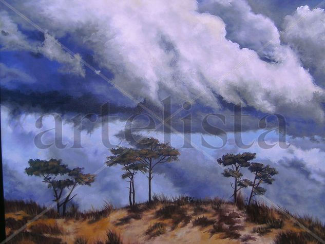 tormenta sobre el medano Oil Canvas Landscaping