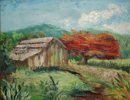 Casita de yagua