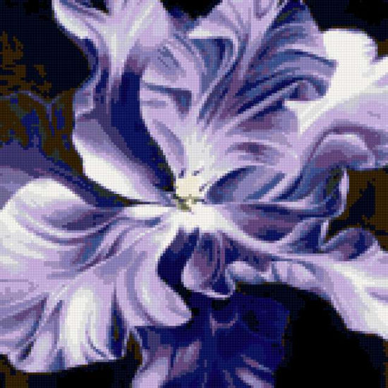 Iris de color violeta 