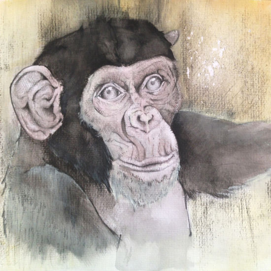 Chimp Acuarela Papel Animales