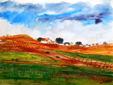 Campos manchegos iii