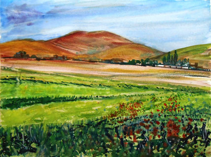 Campos manchegos v
