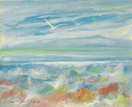 Volando sobre la costa