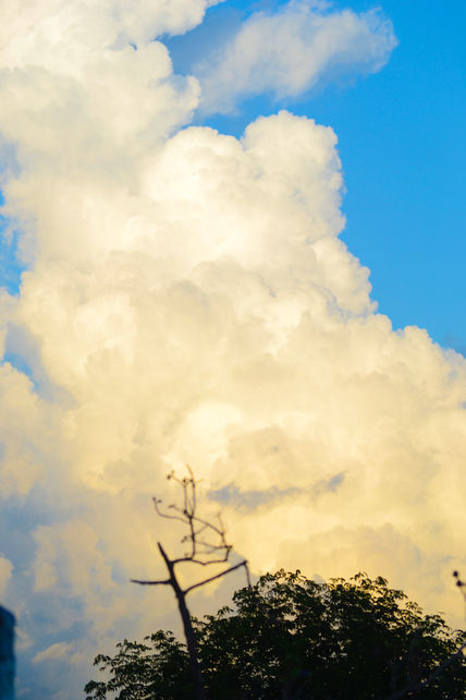 Un cielo de verano