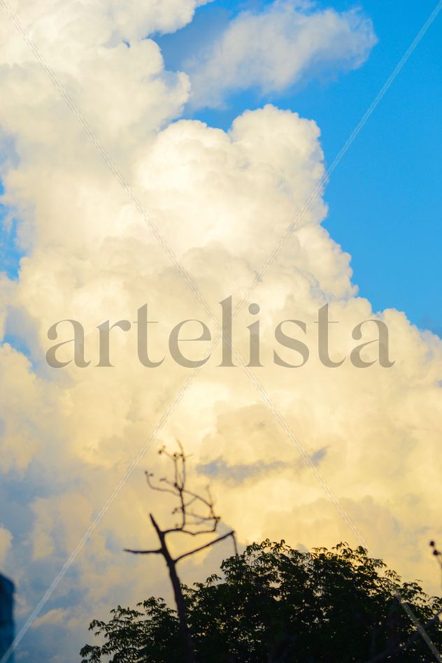 Un cielo de verano