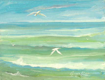 Gaviotas sobre la...