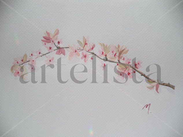 Prunus Watercolour Paper Floral Painting