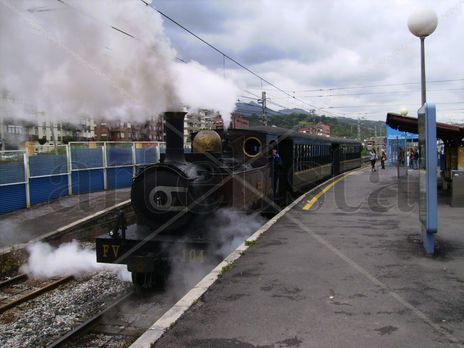 El tren a vapor