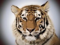 Tigre