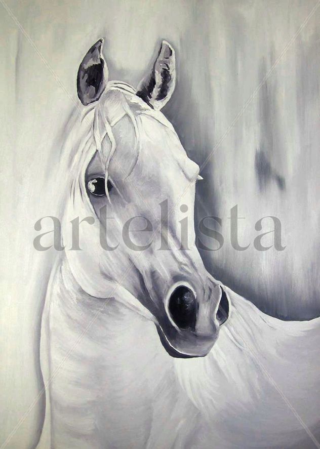 Retrato al Oleo de Cabeza de Caballo Blanco