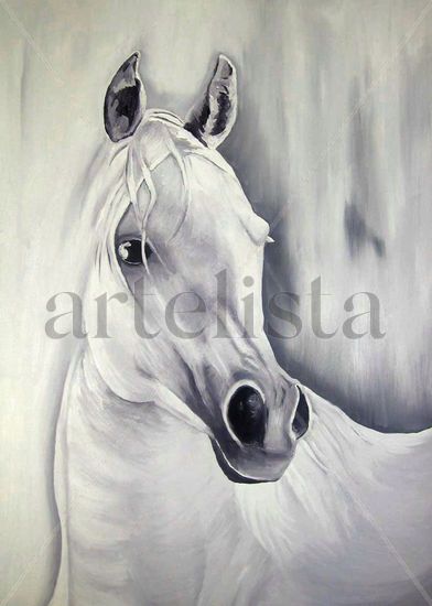 Retrato al Oleo de Cabeza de Caballo Blanco Oil Canvas Portrait