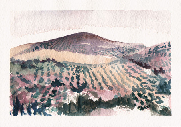 Paisaje de olivares Watercolour Paper Landscaping