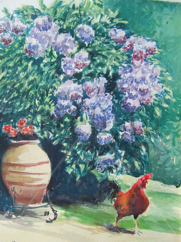 hortensias