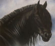 Equus3