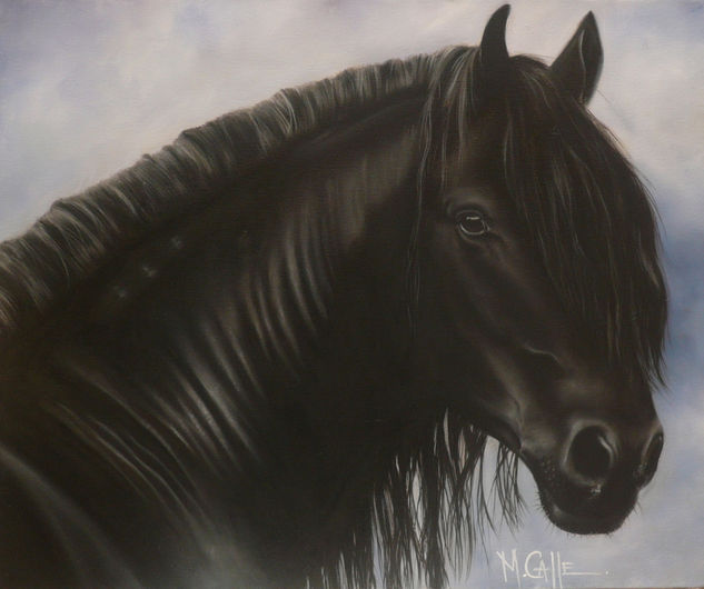 Equus3 Oil Canvas Animals