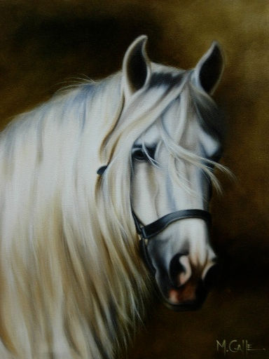 Retrato Oil Canvas Animals