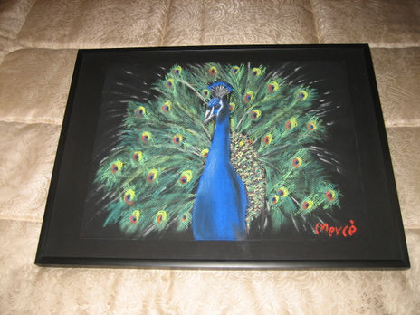Pavo real