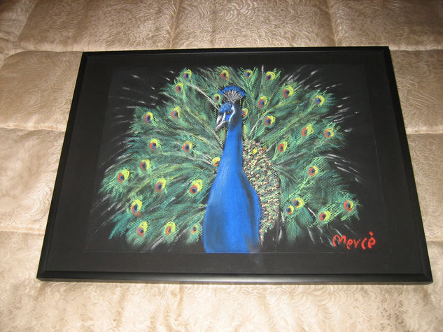 PAVO REAL Pastel Card Animals